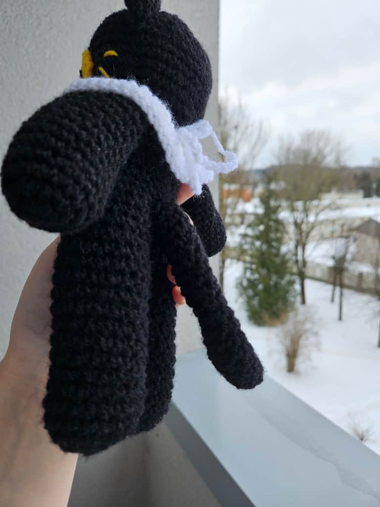 Melns liels kaķis🐱